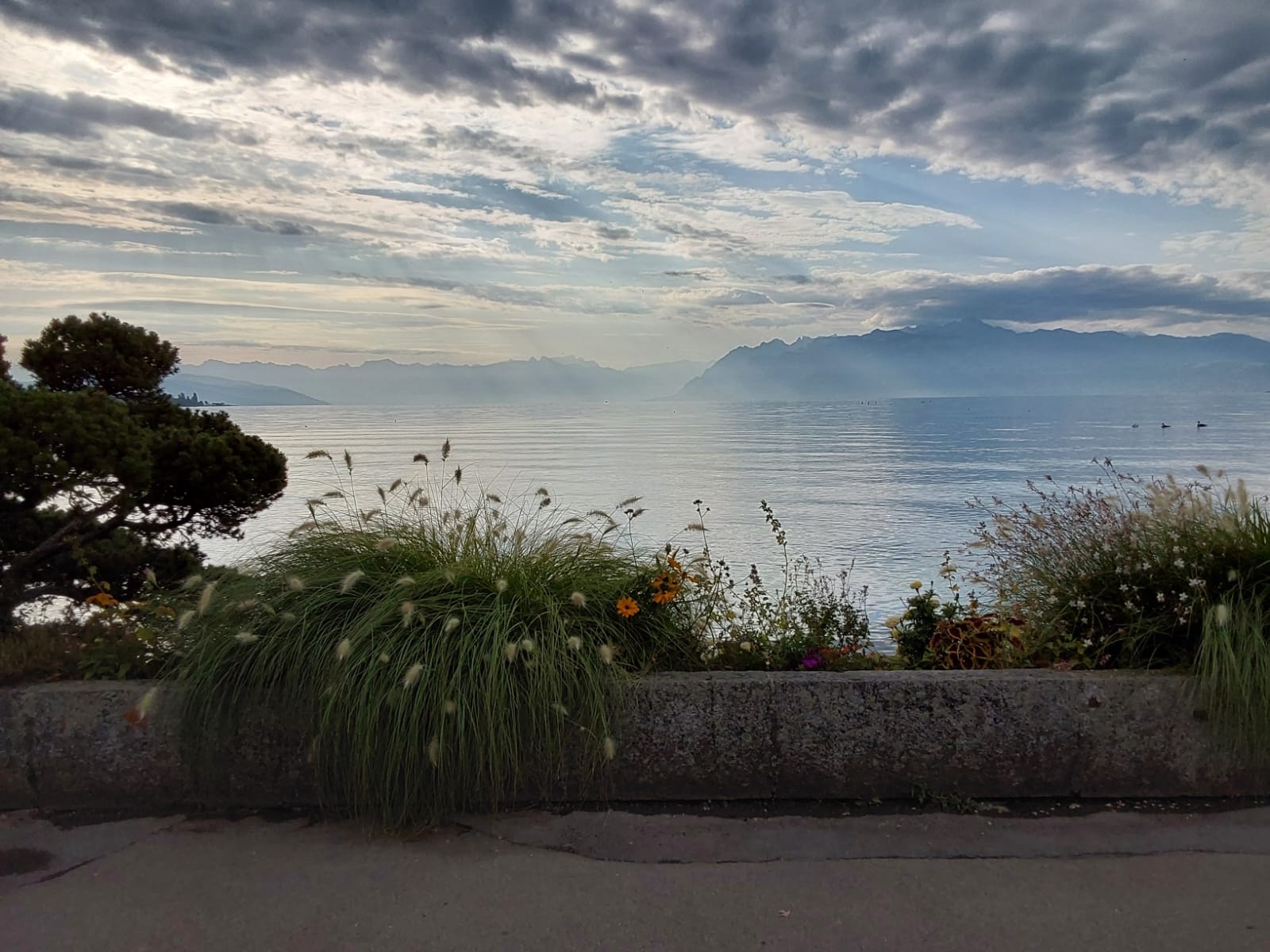 Suisse